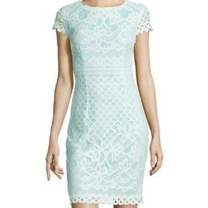 Classic Form Fitting Lace Dress.